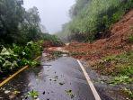 Ini Dugaan Penyebab Banjir Bandang di Beutong Ateuh, Camat: Ada Penebangan Kayu secara Besar-besaran