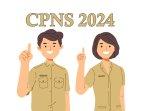 Info CPNS 2024, Berikut 70 Link Pengumuman Seleksi CPNS 2024 Lengkap dengan Kodenya