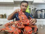 Ini Penyebab Harga Kepiting Singkil Tembus Rp 300 Ribu Per Ekor, Rupanya Dipercaya Jaga Kesuburan