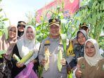 Program Presiden Prabowo Tuai Hasil, Kapolresta Banda Aceh Panen Ratusan Jagung di Geuceu Meunara