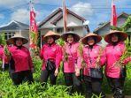 Kapolresta dan Ketua Bhayangkari Banda Aceh Panen Sayur Pekarangan Binaan