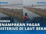 VIDEO Penampakan Pagar Misterius Sepanjang 8 Km yang Muncul di Laut Bekasi