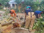 Pohon Nangka Tumbang Tutup Jalan Penghubung antar Desa di Montasik,Â Warga Diminta Waspada