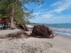 Abrasi Rusak Keindahan Objek Wisata Pantai Cemara di Aceh Singkil, Pondok Warga Ikut Hancur