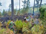 10 Hektare Hutan Lindung Dirambah