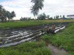 Petani di Aceh Utara Berharap Bantuan Traktor Untuk Pengolahan Tanah Sawah