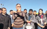 Union leader arrested amid Antep labor protests