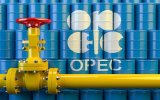 OPEC+ falls short of planned oil production in January