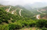 Intl. conference on Zagros forest to be held