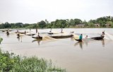 Halda fishers struggle for survival