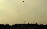 Six dead, hundreds injured as kite strings cause injuries during Gujarat’s Uttarayan festival