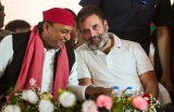 All INDIA bloc candidates to fight UP bypolls on 'cycle' symbol: Akhilesh Yadav