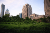 Why is there a forest in the middle of Orchard Road?