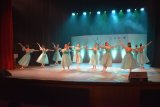 Baku Choreography Academy leaves spectators in awe at Gabala festival