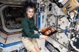 Hours Of Spacewalk, Gardening: How Sunita Williams Is Spending Time In Space