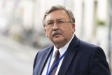 Russian diplomat reacts to IAEA BoG anti-Iran resolution