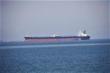 US mulls plan to disrupt Iran's oil by halting vessels at sea