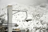 VIDEO: First autumn snow in Iran's Talesh