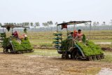 China expands subsidy program for replacing old agricultural machinery