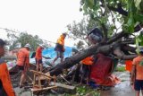 Tens of thousands flee as Man-yi Typhoon nears Philippines