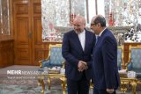 Iran’s Parliament Speaker Ghalibaf meets Syrian FM in Tehran