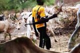 3 killed in Niger herder-farmer clash