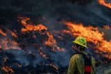 Deaths from Los Angeles-area wildfires rise to 29