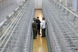 N. Korea orders expansion of nuclear enrichment facilities