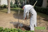 Leader plants sapling to mark Natl. Arbor Day