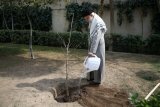 Ayatollah Khamenei says tree planting shows foresight for future generations