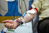 Iranians donate 2% more blood in 11 months