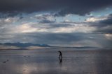 Lake Urmia’s water volume increases by 80 mcm