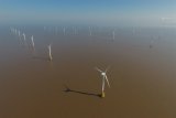 China leads global offshore wind race as India plays catch-up