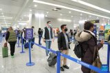 China sees double-digit increase in cross-border trips on Jan. 1