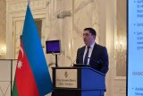 Azerbaijan aims to boost private sector share in GDP, says official