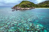 Shark kills pastor fishing in Australia’s Great Barrier Reef