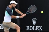 Habib makes history as first Lebanese to win Grand Slam match