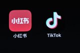 ‘Tiktok refugees’ flock to Xiaohongshu, Chinese app taking US by storm