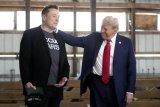 Trump sides with Musk in right-wing row over worker visas