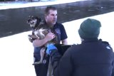 Dramatic rescue of dog from freezing river in Vermont caught on video