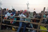 'Wouldn't have missed this no matter what': Unfazed devotees shrug off stampede at MahaKumbh