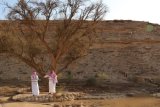 Desertification talks open in Saudi Arabia as experts fire warning