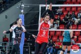 PVL: Chery Tiggo withstands Galeries to get back on track