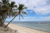 Nauru sells citizenship to fund climate change mitigation