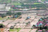 Rice output seen to drop this year due to typhoons, DA says