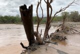 One dead in Australia floods as authorities order evacuation