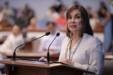 Legarda urges action to curb rising dengue cases in PH