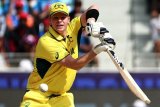 Steve Smith retires from one-day internationals