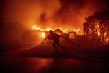 What's Wrong With Them: Trump Slams Officials Over Los Angeles Fire