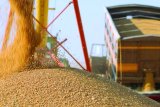 Kazakhstan increases grain exports to Iran